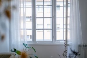 White windows with plants in the foreground