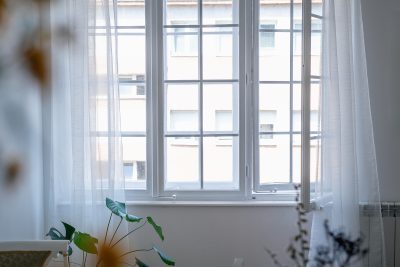 Window frames by gauzy white curtains with houseplants in the foreground